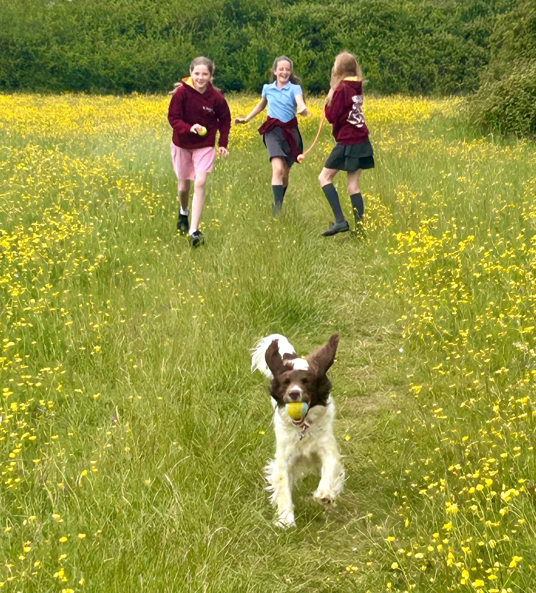 dog and children running through fields